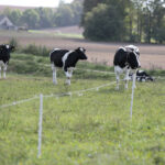 Baseino trenerę „veža“ ir sportas, ir vanduo
