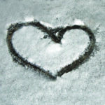 Briedžių šeimos gyvenimas – nesibaigianti kūryba