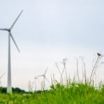 Treneris Eligijus: „Nebūtina pradėti keistis nuo pirmadienio, galima tai padaryti ir nuo trečiadienio“