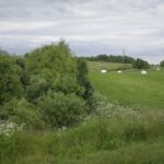 Priėmimo-skubiosios pagalbos skyriaus vedėja reiklumą derina su empatija