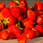 Reagavimo skyriaus pareigūnų gretas papildė dviejų vaikų mama