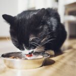 Ugnis sunaikino švobiškiečių namus