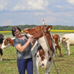 Savitarpio pagalba dideliems finansiniams nuostoliams išvengti