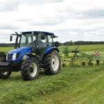 Būsimasis archeologas kviečia į džiumbrynus