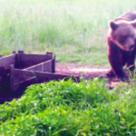 Siekiantiems investuoti į žemės ūkio valdas – lengvatinės paskolos