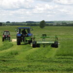 Kaip tinkamai formuoti imunitetą, kad jis mumis pasirūpintų?