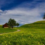 Dvylikametis lenktynininkas nenusileidžia ir vyresniems varžovams