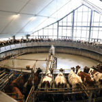 Pasitikrinkite ar skolos išieškojimas yra reikiama paslauga jums