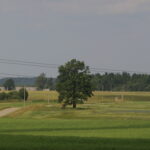 Trimetės debiutavo Jonavos sporto arenoje