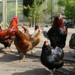 Netikėta žinutė butelyje – laiškas ateities kartoms