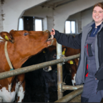 Šauliai kviečia į susitikimą