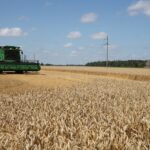 Šeimos jėga: penki vaikai, svajonės ir būsimi namai