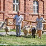 Atnaujintas pėsčiųjų tiltas jungs naują bendruomenę