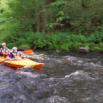 Rudens iššūkis tėvams: kaip apsaugoti vaikus nuo utėlių?