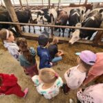 Po šventinio šurmulio – į Pasvalio kasdienių darbų verpetą