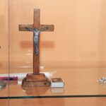 Nuo ganyklos iki derlingos plantacijos – devyneri metai su šilauogėmis