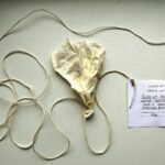 Po išsamių tyrimų žinoma, kur yra tuštumos ir gipso sluoksniai