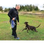 Tvarkydamas paveldėtą sodybą Pasvalio rajone vyras rado revolverį ir šovinių