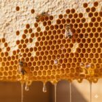 Lietuvos piliečiai bei užsieniečiai vėl galės gauti dokumentus pasinaudodami kurjerio paslaugomis