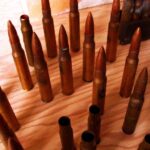 Talačkoniuose gyvenanti Stela – greičiausias pasaulio šuo